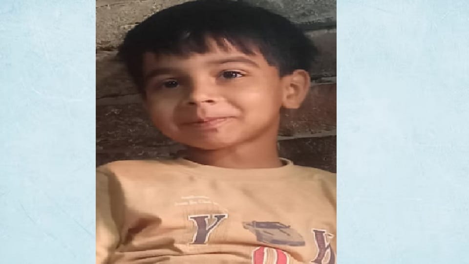 Amroha: Electric current passed from the electric pole, seven year old child died in front of his mother