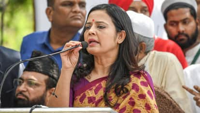 mahua moitra delhi high court rottweiler henry custody dispute jai anant dehadrai