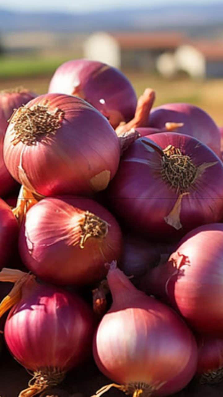 भारत के इस शहर में प्याज है बैन