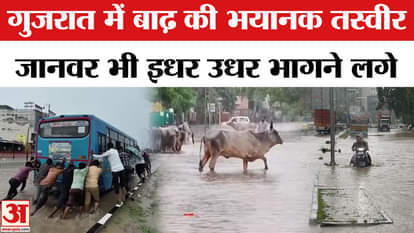 flood like situation in several part of  gujarat