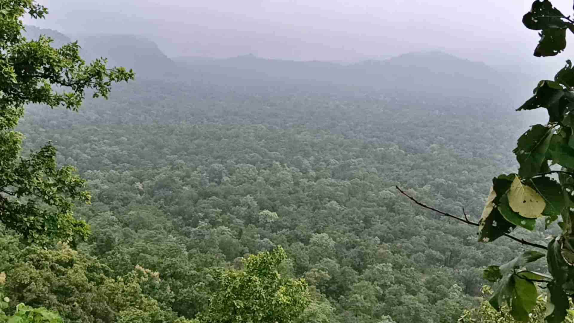MP News Monsoon Magic in Damoh Tourists Flock to Sangrampur Waterfalls and Bhadbhada