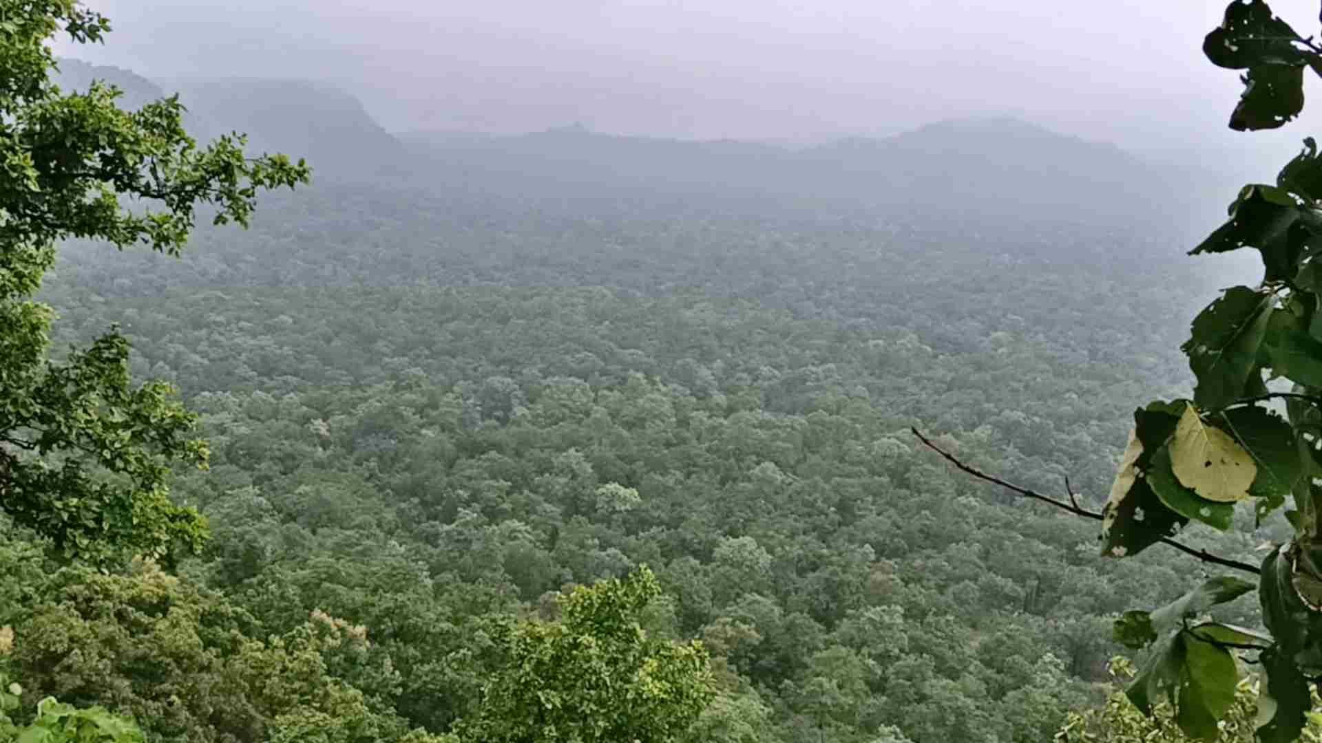 MP News Monsoon Magic in Damoh Tourists Flock to Sangrampur Waterfalls and Bhadbhada