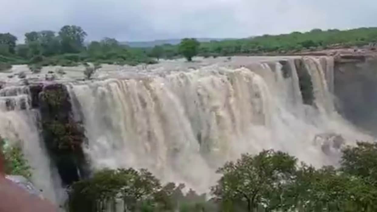 Rajasthan Monsoon Update: Warning of continuing heavy rains in Rajasthan, gates of more than 30 dams opened