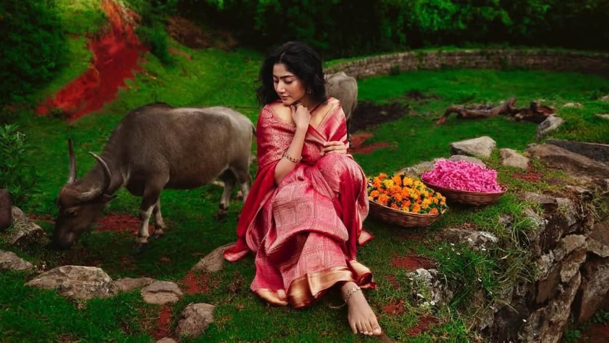 Ramayana Movie Who is South Actress Sai Pallavi Played Role of Sita Know All Details in Hindi
