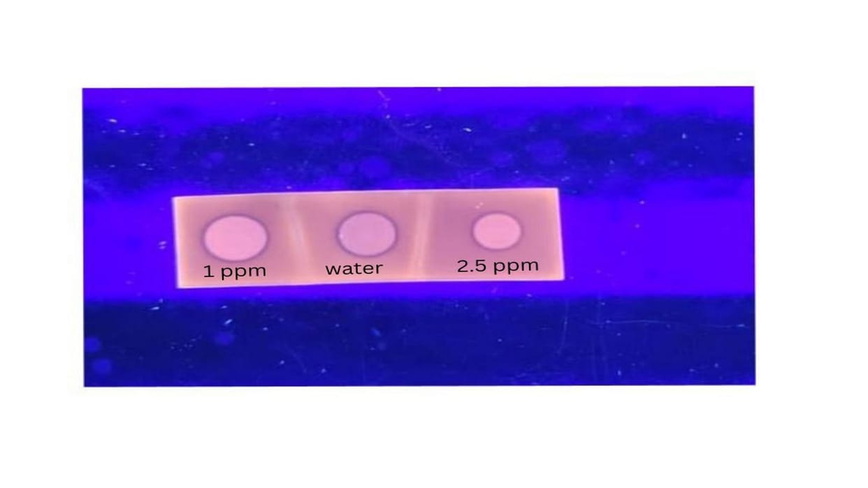 Now arsenic in water can be tested with gold nano cluster strip, MNNIT students got success
