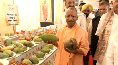 CM Yogi Inaugurates Mango Festival 2025 in Lucknow 800 Varieties on Display and Tasting Up News