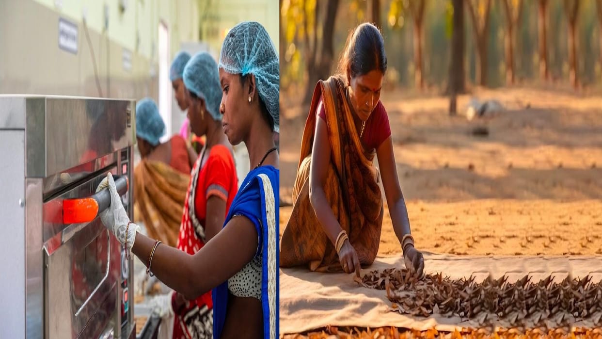 Big decision taken in Chhattisgarh, Jashpure trademark will be handed over to the Industry Department