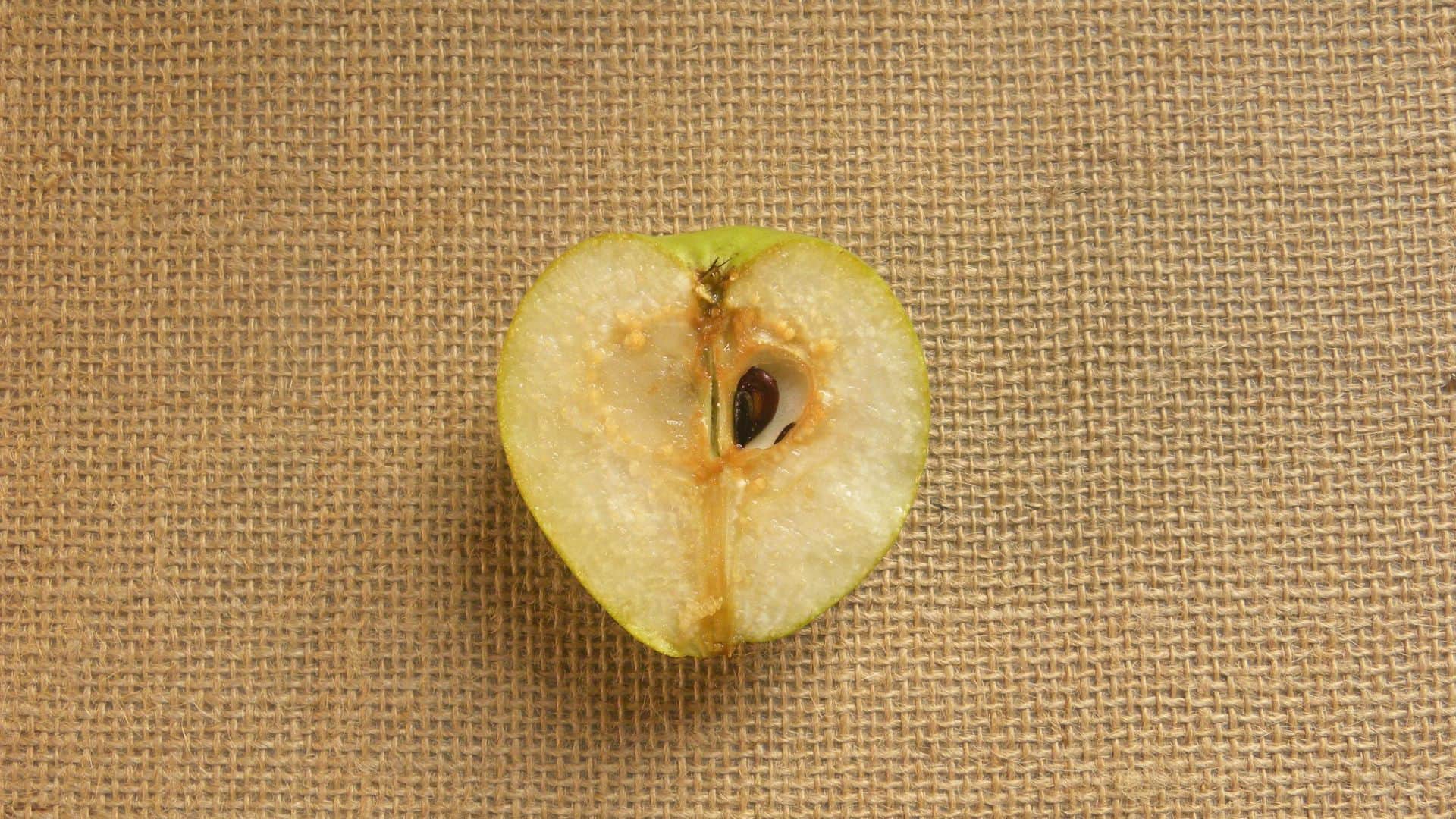 which fruits are good for diabetic patients see list here