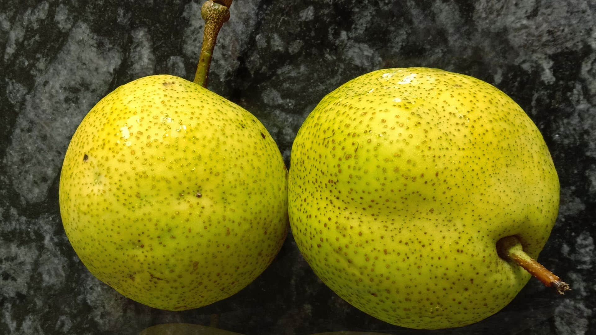 best fruits in rainy season in hindi barish me kaun se fruit khane chahiye