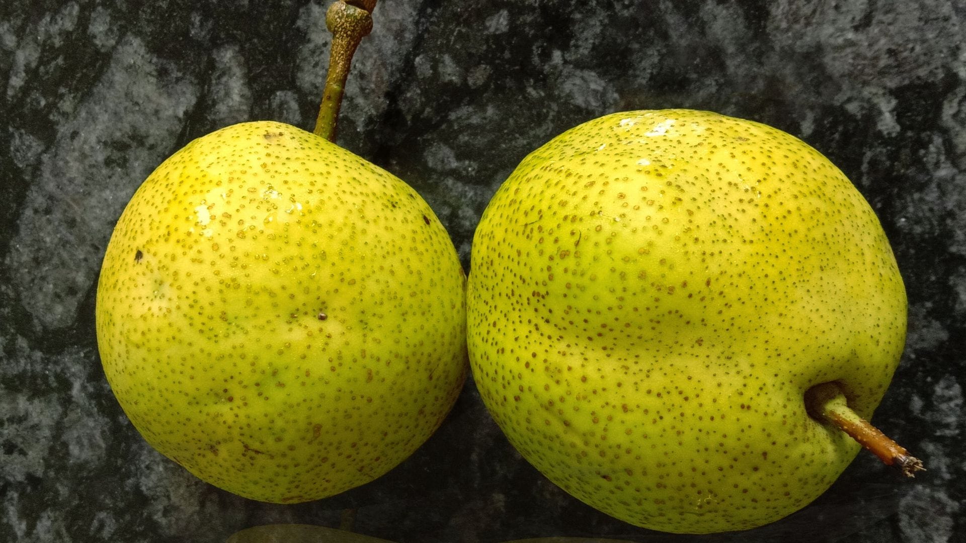 best fruits in rainy season in hindi barish me kaun se fruit khane chahiye