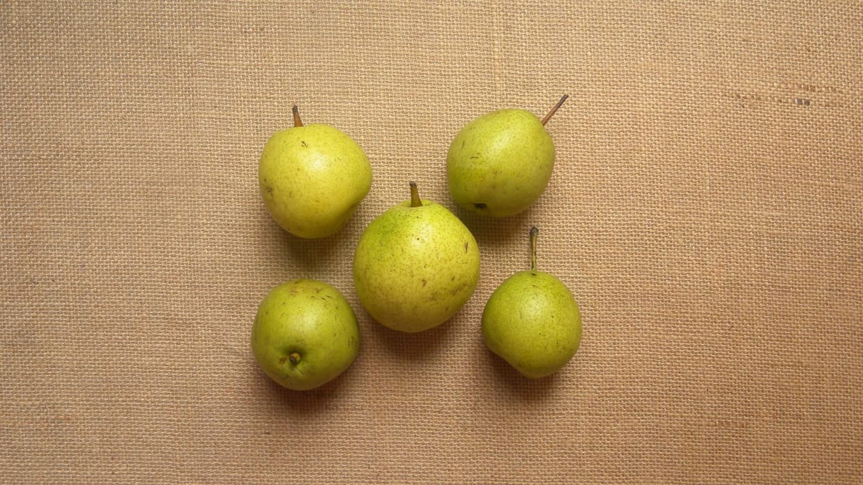 Pears Health Benefits Check Four Impacts Of Eating Pear Fruit Nashpati Khane Ke Fayde