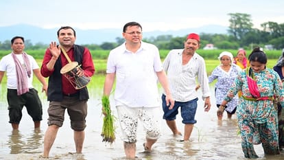 Uttarakhand CM Pushkar Singh Dhami Ploughs Field And Plants Paddy in Khatima Photos
