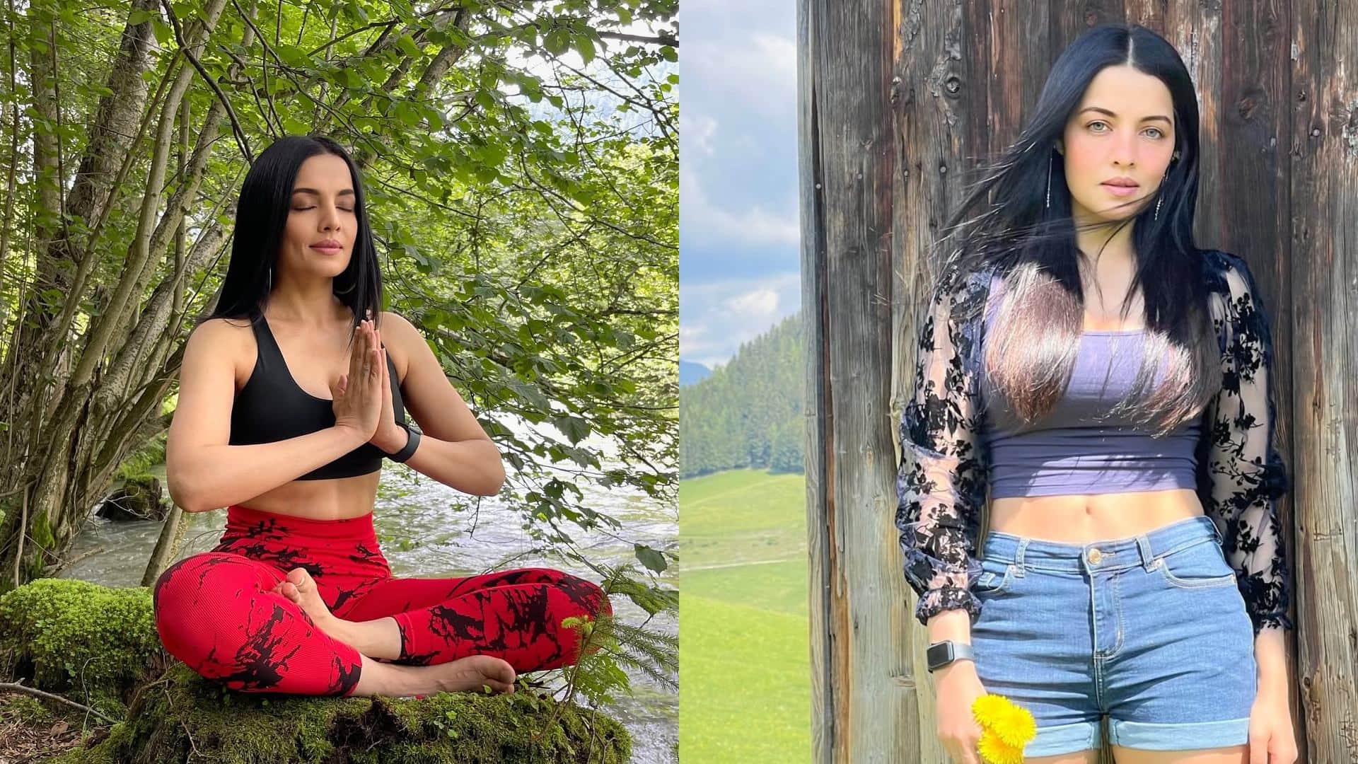 Celina Jaitly To Make Her Bollywood Comeback After 14 Years Actress Drops Hint