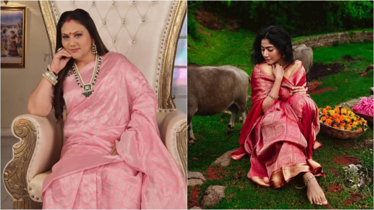 Dipika Chikhlia Interview: Know actress reaction on Nitesh Tiwari Ranbir Kapoor Ramayana Sai Pallavi role