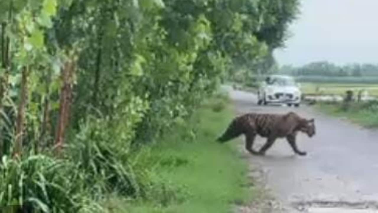 (प्रतीकात्मक फोटो)