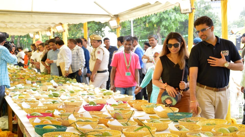 Two and a half kilo mango: became the center of attraction in Delhi festival
