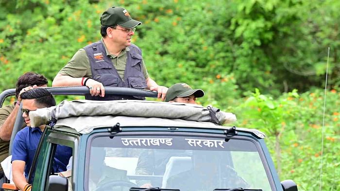 CM Dhami jungle safari in Corbett National Park ramnagar Nainital planted tree Ek Ped Maa Ke Naam campaign