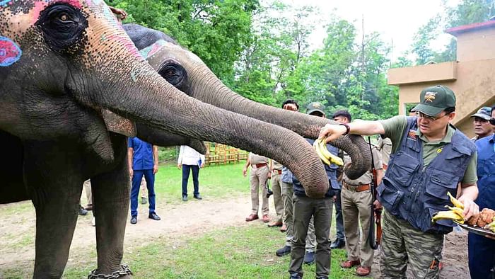 CM Dhami jungle safari in Corbett National Park ramnagar Nainital planted tree Ek Ped Maa Ke Naam campaign