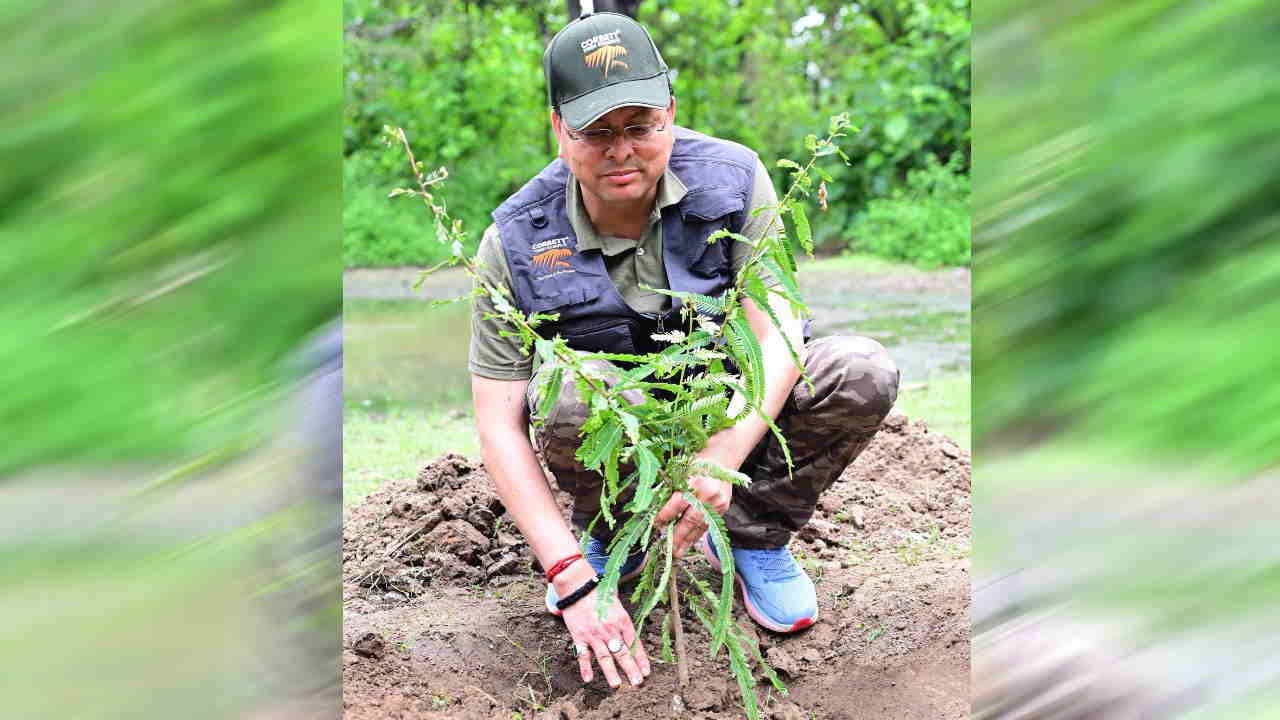CM Dhami jungle safari in Corbett National Park ramnagar Nainital planted tree Ek Ped Maa Ke Naam campaign