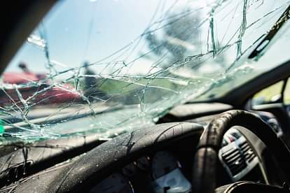 Five cattle died due to collision with high speed car