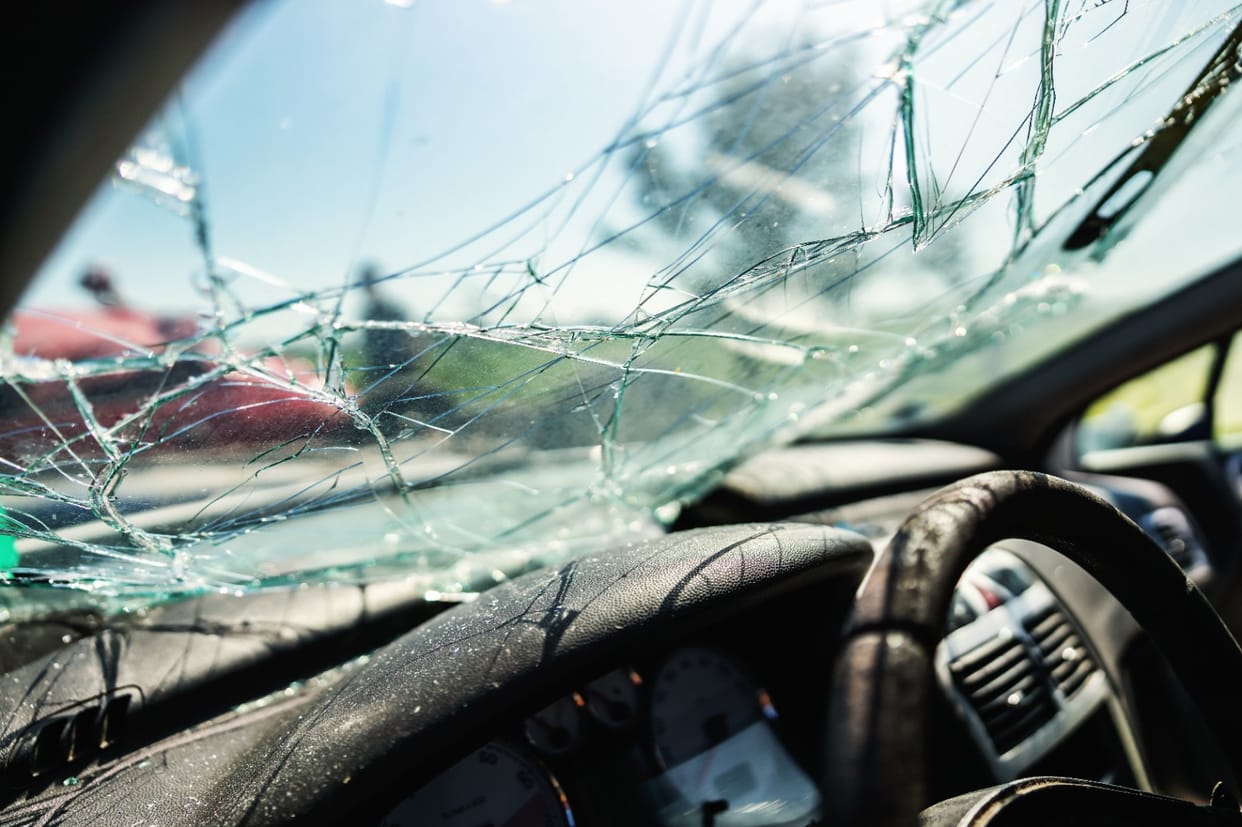 Five cattle died due to collision with high speed car
