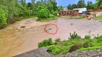 Shahdol weather: Heavy rain caused havoc in the district