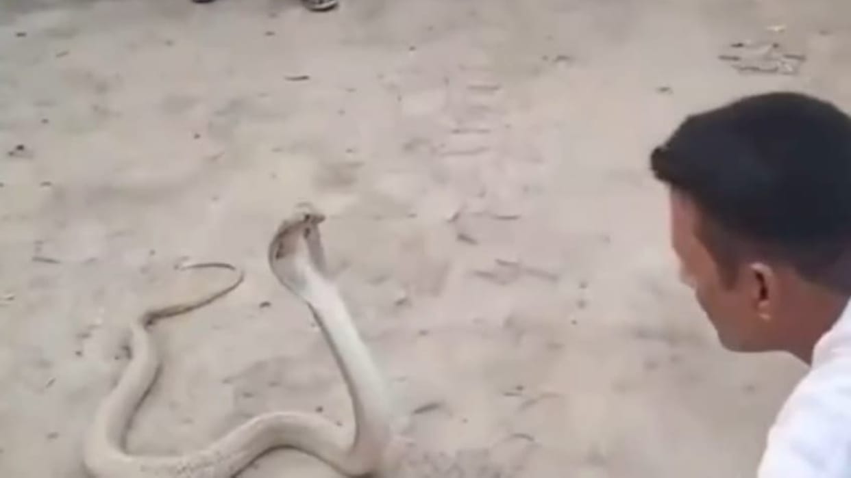 Bihar News : Snake saver died due to snake bite during rescue operation vaishali bihar hajipur bihar