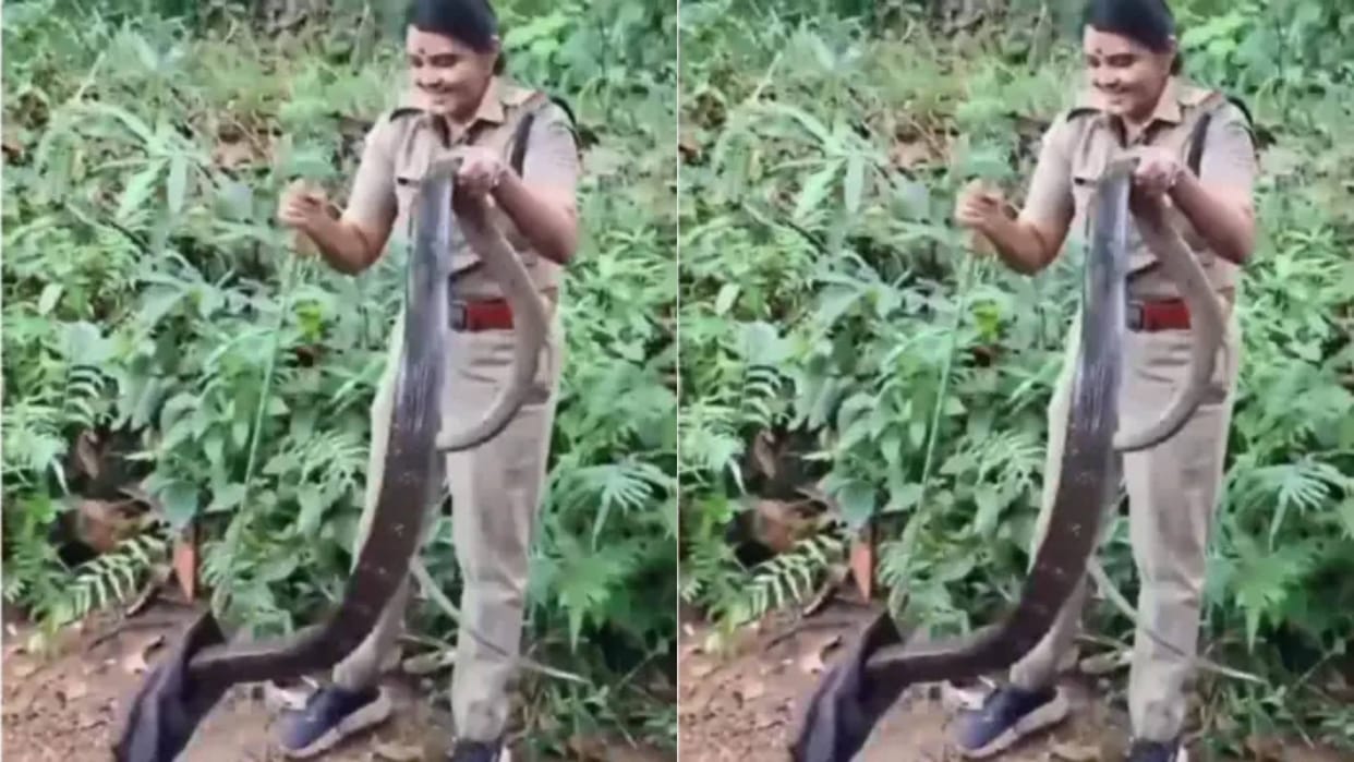 Female police officer caught 18 feet long cobra without any safety people were stunned Video goes Viral