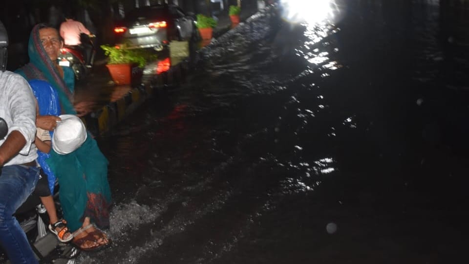 UP: Heavy rains in Moradabad division, four-day yellow alert issued; see photos