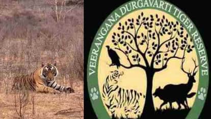 Veerangana Durgavati Tiger Reserve: Tourist movement closed for three months due to rain