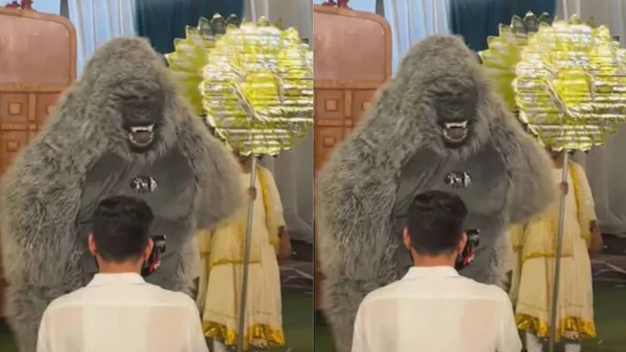 The bride and groom were about to make a grand entry when suddenly a gorilla appeared Video goes Viral
