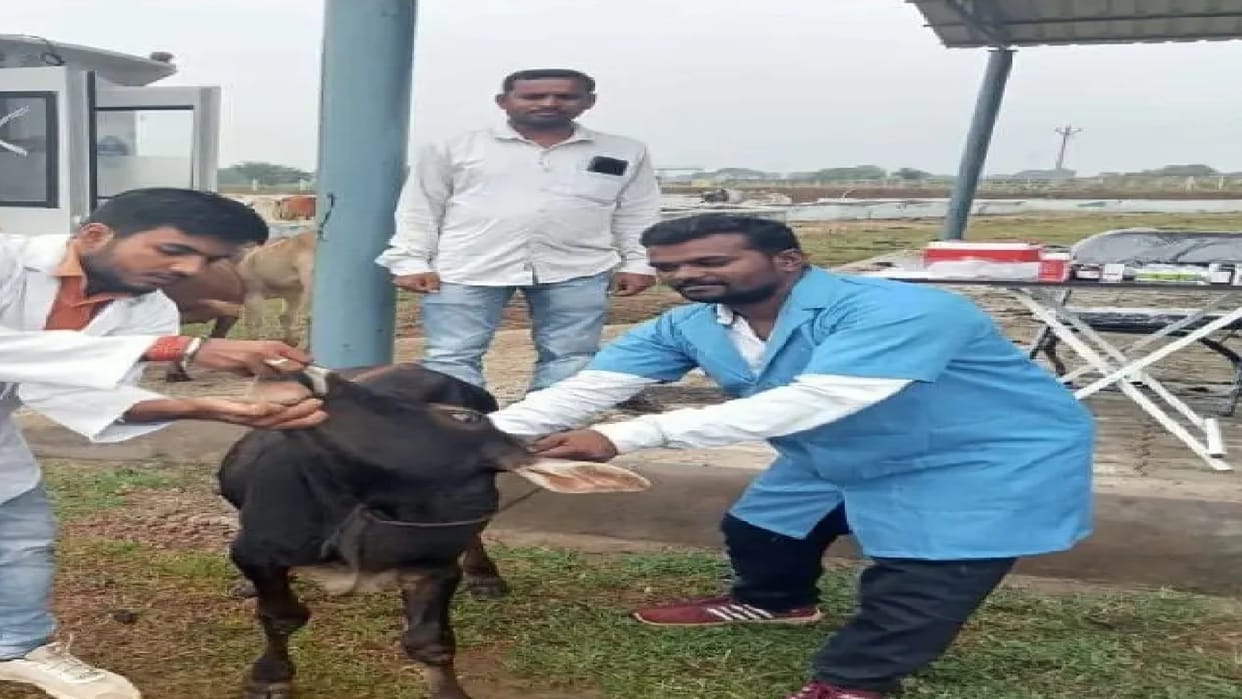 Treatment of animals through mobile veterinary unit, you can avail the facility by calling on toll-free number