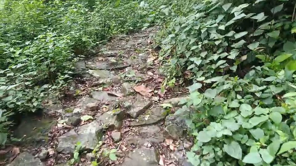 Students of Jamira village Nainital cross a steep hill of 4 km to go to school