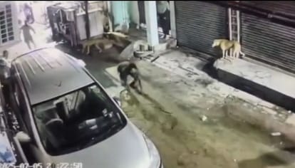 Kanpur Fight and stone pelting between two parties after refusing to sit on a scooty five arrested