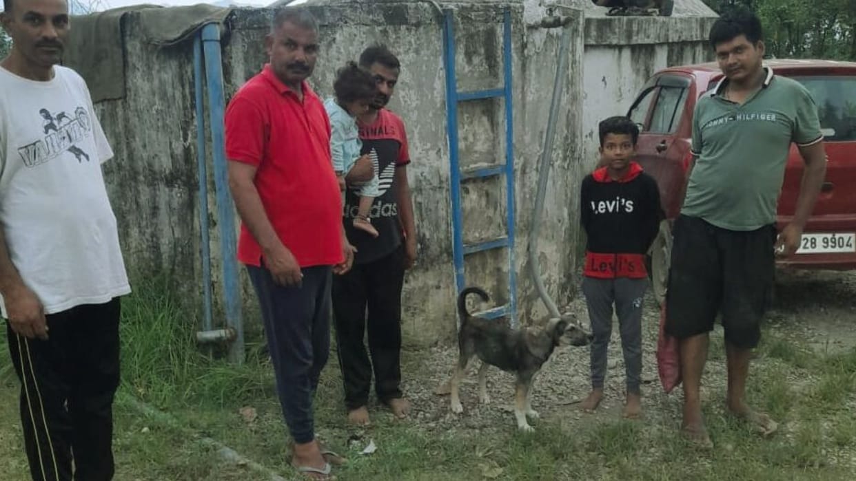Himachal Mandi Dog Story Seeing the danger dog bark and saved 60 lives in Syathi village