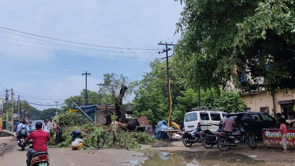 Moradabad Weather: Water filled on tracks, train operations affected, 26 trains had stopped due signal failure