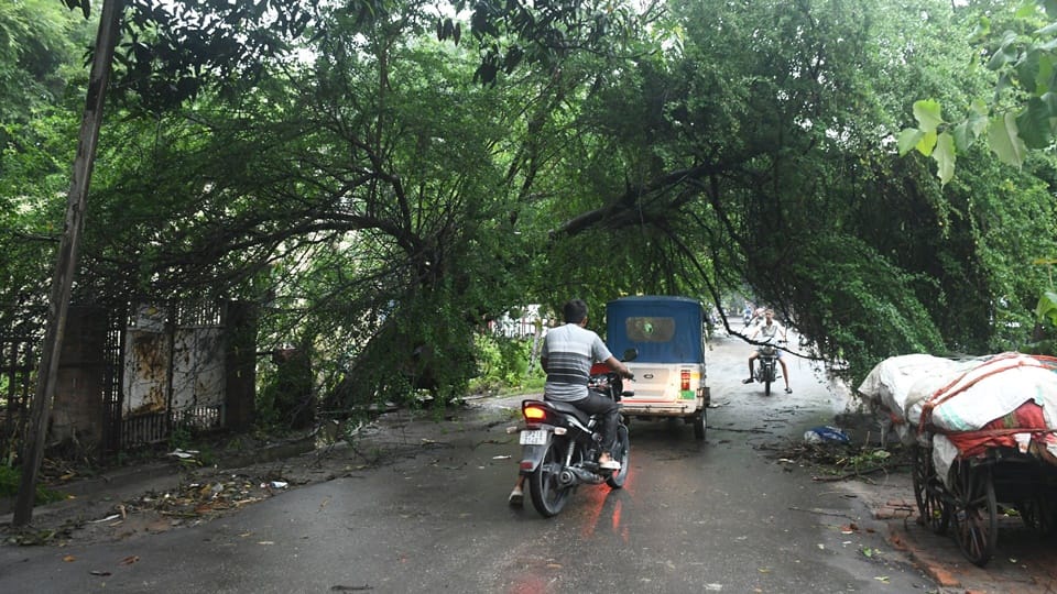 Moradabad Weather: Water filled on tracks, train operations affected, 26 trains had stopped due signal failure