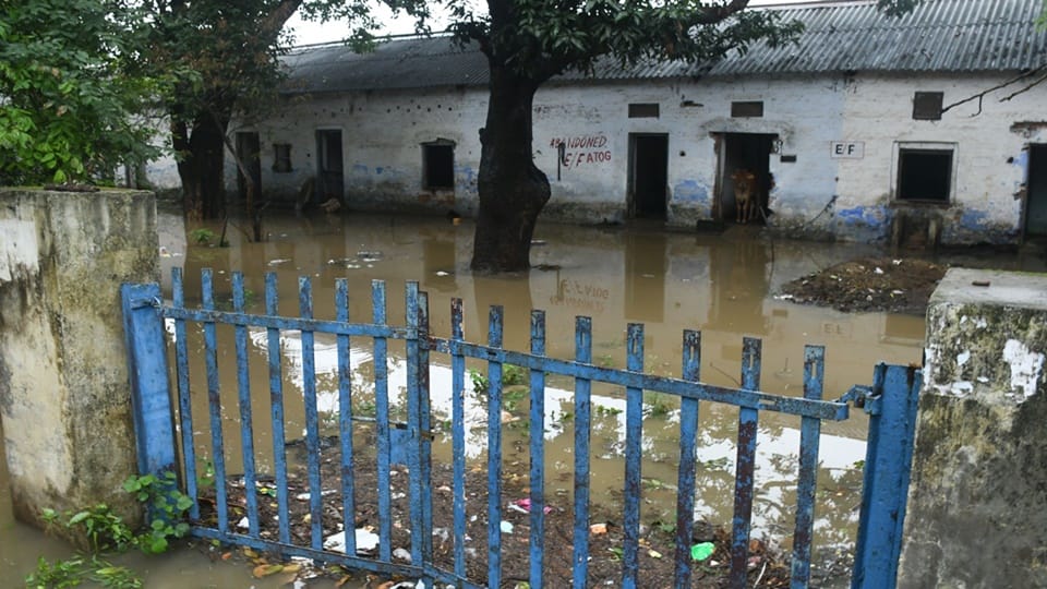 Moradabad Weather: Water filled on tracks, train operations affected, 26 trains had stopped due signal failure