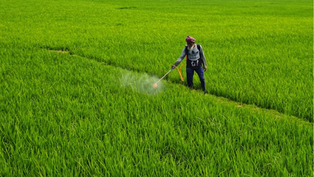Early Monsoon to Boosts India's Crops,  signs of improvement in Agrochemicals Sector