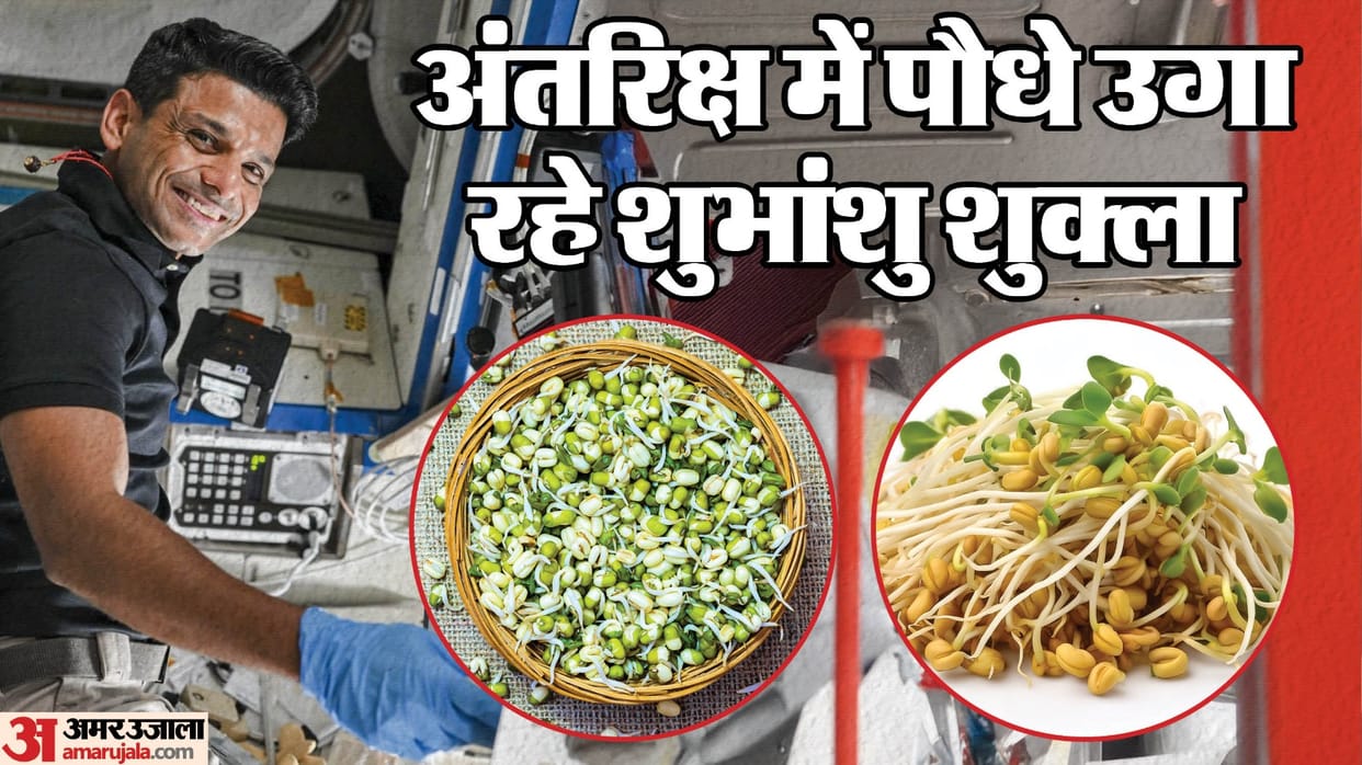 Axiom-4 Mission: Shubhanshu Shukla is growing fenugreek and green gram seeds In International Space Station