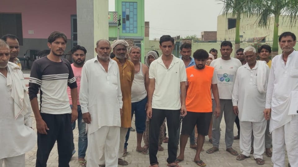 10 dogs died due to poisoning in Panipat