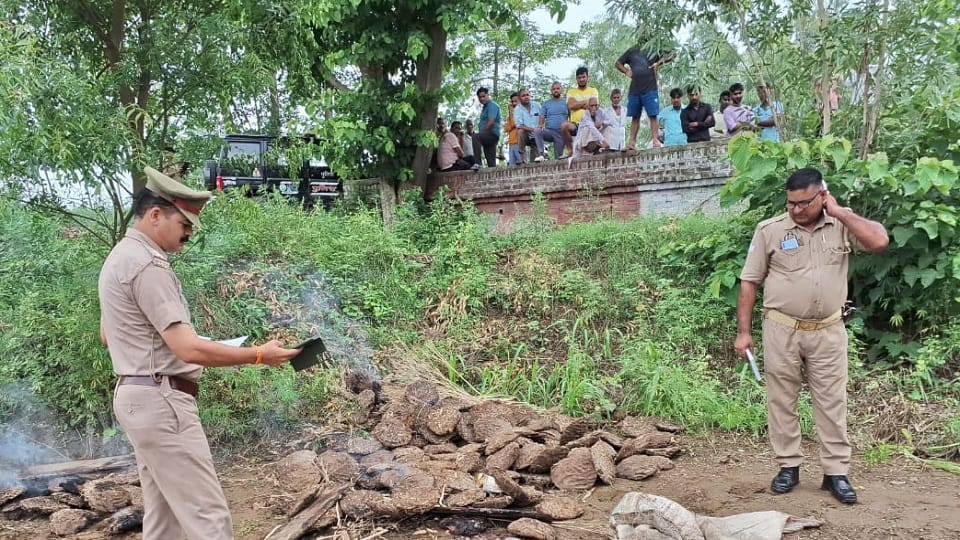 Bijnor: For the sake of a piece of land, younger brother was killed with an axe, mother kept crying