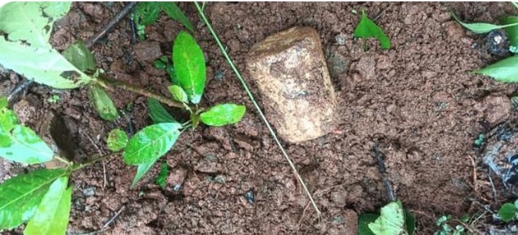 Jharkhand News: 18 IED Bombs Recovered and Defused in Khunti Forest Major Naxal Plot Foiled