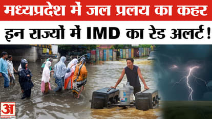 MP Rain-Flood Update: Flood havoc continues in Madhya Pradesh, IMD issues red alert for many states