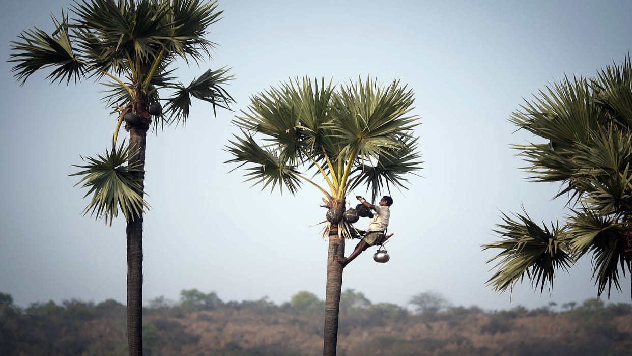 Hyderabad tragedy Four died after drinking adulterated toddy 37 admitted hospital police investigation
