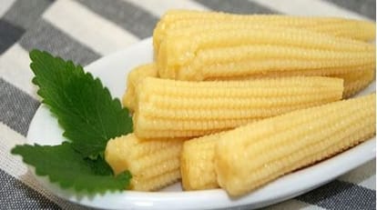 UP: बेबी कॉर्न की खेती से किसानों को बड़ा मुनाफा, बढ़ती डिमांड से लाखों की कमाई; 90 दिन में तैयार हो रही फसल Farmers get huge profits from baby corn cultivation earn millions due to increasing demand