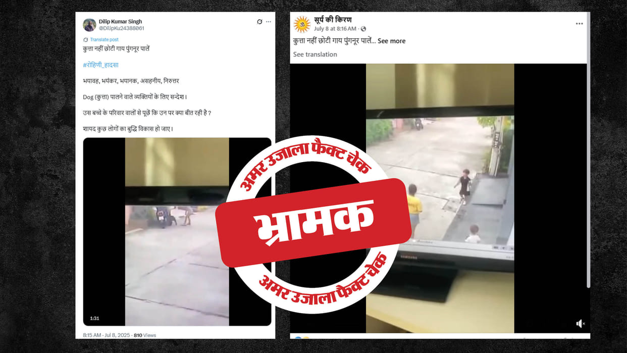 A video from Thailand of a 4-year-old boy being bitten by a dog shared as Rohini