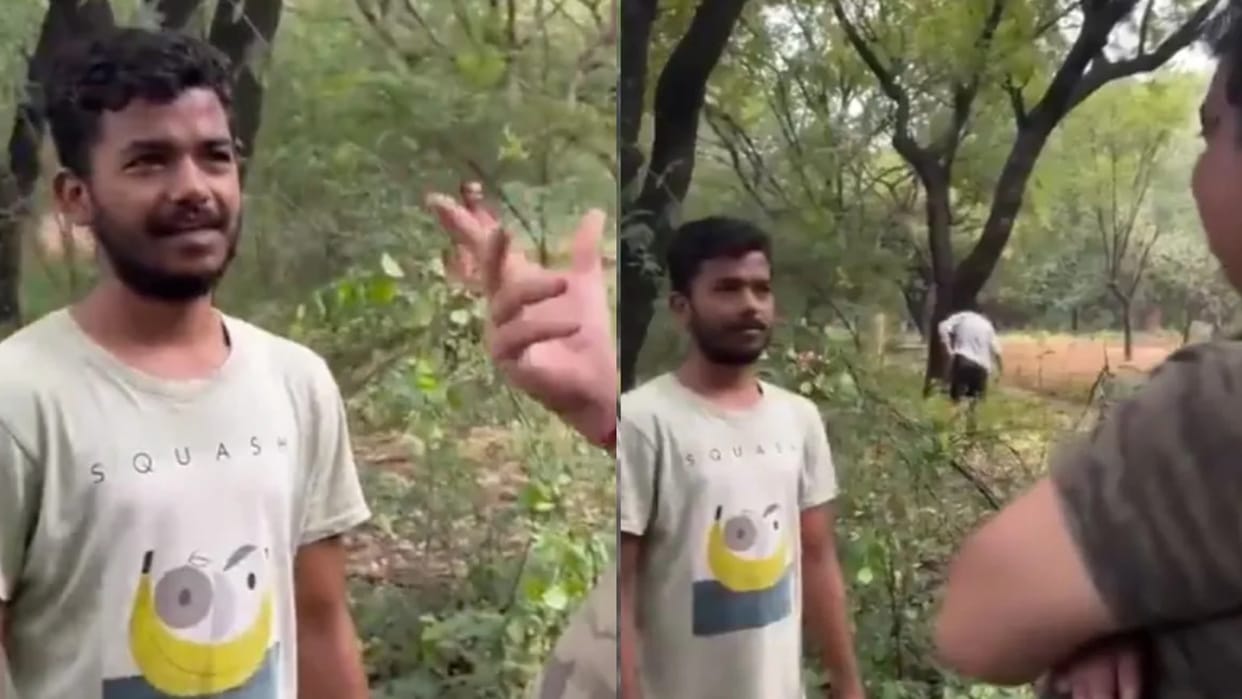 haryanas video goes viral amid marathi language controversy latest News in Hindi