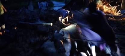 मलबे से भैंस को निकालता युवक