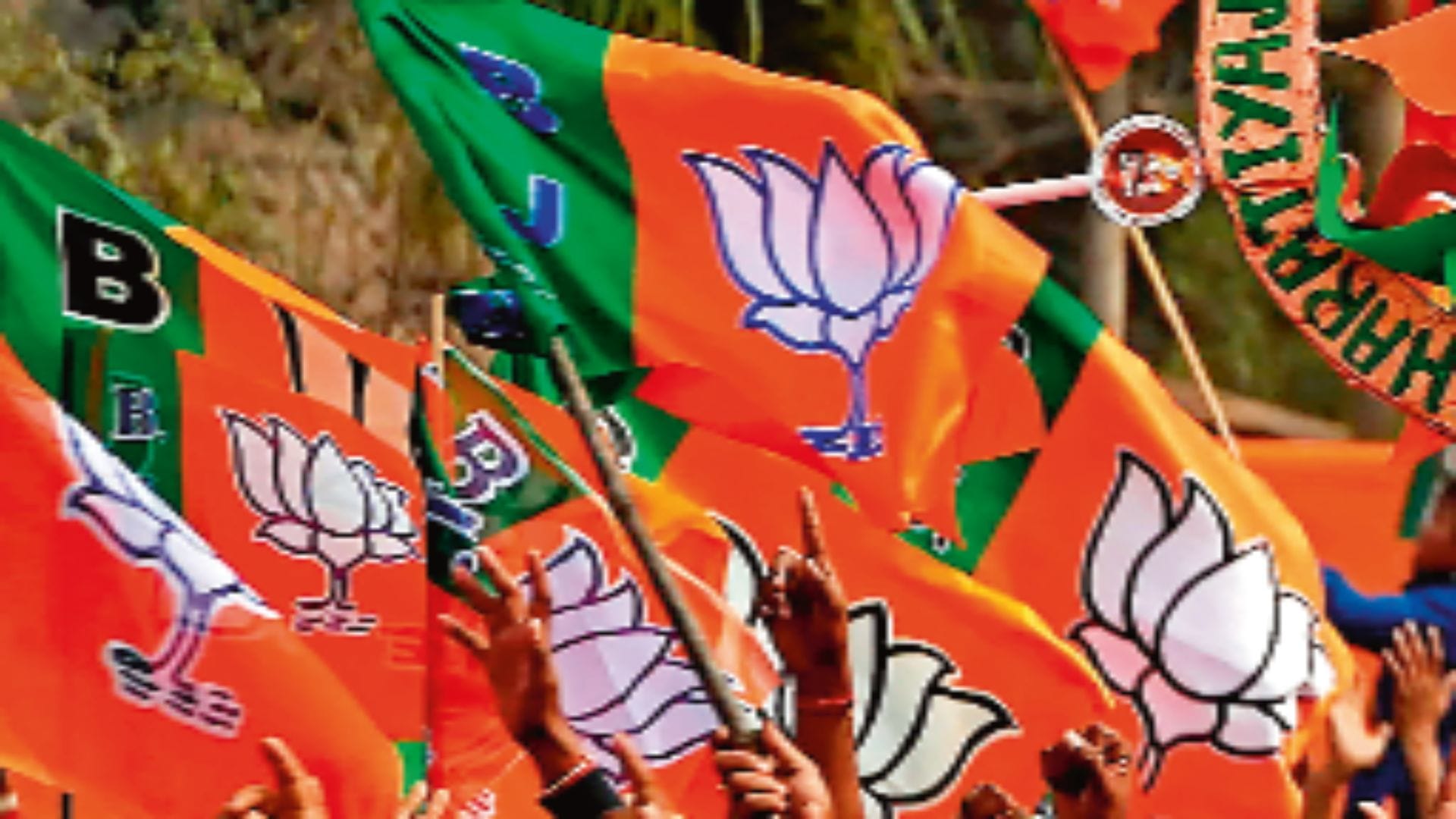 भाजपा का झंडा